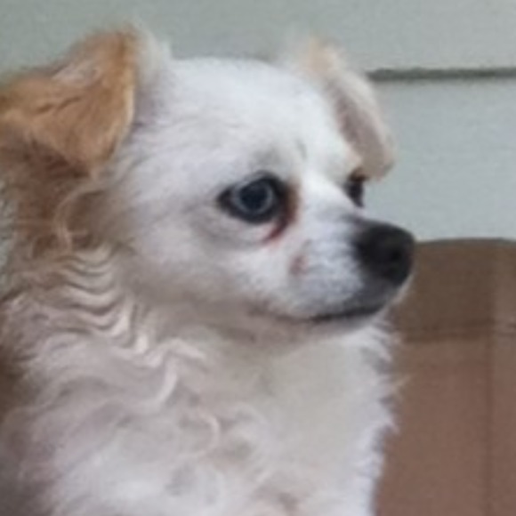 magtamawoo